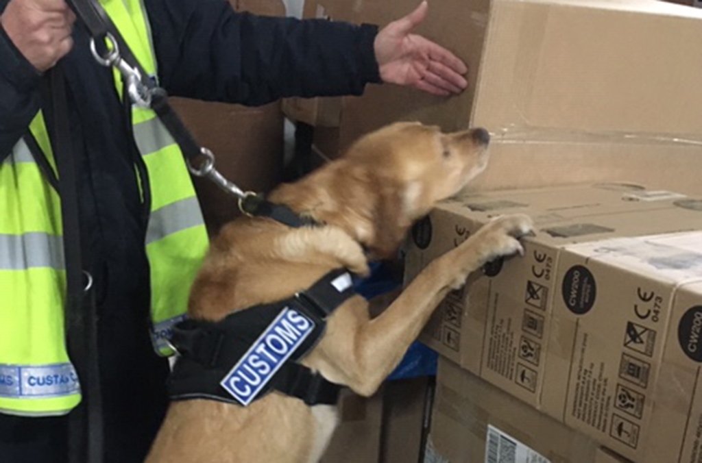 Participating INTERPOL countries inspected more than 326,000 packages (photo: Ireland)